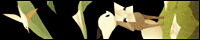 �O�R�P�R